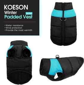 img 3 attached to 🐶 KOESON Dog Winter Waterproof Jacket with Dual D Ring Leash - Warm Padded Vest Coat for Cold Weather, Zip Up Sports Outwear Pet Apparel for Small Medium Large Dogs