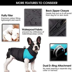 img 2 attached to 🐶 KOESON Dog Winter Waterproof Jacket with Dual D Ring Leash - Warm Padded Vest Coat for Cold Weather, Zip Up Sports Outwear Pet Apparel for Small Medium Large Dogs