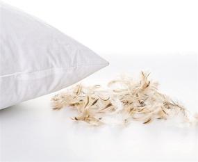 img 3 attached to 🦆 Premium Hypoallergenic Duck Feather Throw Pillow Inserts, Set of 2 - Gray, 12x20 inch, White Decorative Cushion Sham Square