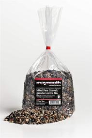 img 4 attached to 🪨 5lb Bag of Mini Pea Gravel - 1/4&#34; Decorative Natural Granite Gneiss Gravel for Aquariums, Landscaping, Vase Fillers, Plants, Fairy Gardens, Bonsai
