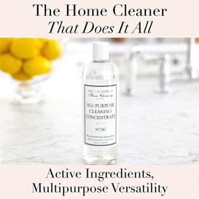 img 3 attached to The Laundress All-Purpose Cleaning Concentrate No. 247 - Mop and Scrub your Home with Ease, Removes Dirt and Stains, Safe for Family, Food, and Pets, 16 fl oz