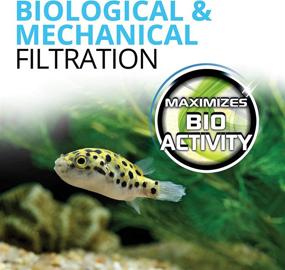 img 1 attached to 🔳 Fluval Foam Filter Block (204/205/306 &amp; 304/305/306)- 2-Pack: An Efficient Solution for Enhanced Filtration