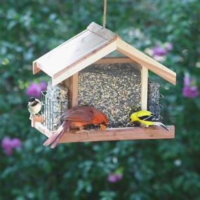 img 2 attached to 🐦 Perky-Pet 50144 Deluxe Chalet Cedar Feeder: 5.2-Pound Capacity for Vibrant Bird Feeding!