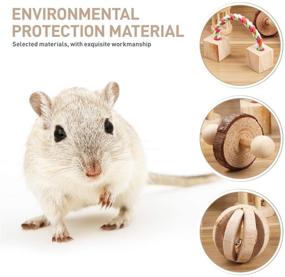 img 1 attached to POPETPOP 5PCS Chew Toys for Hamsters - Natural Wooden Play Toy with Exercise 🐹 Bell Roller - Teeth Care Molar Toy for Bunny Rabbits, Rats, Gerbils, and Other Small Animals