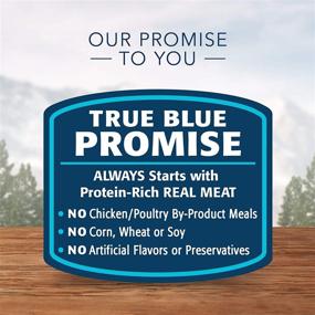 img 1 attached to 🐾 Blue Buffalo Wilderness Rocky Mountain Recipe: High-Protein Grain-Free Wet Cat Food (Pack of 24)