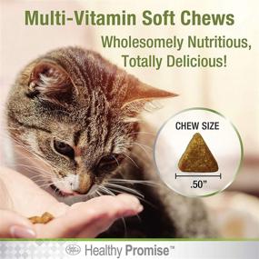 img 3 attached to Four Paws Healthy Promise Multivitamin