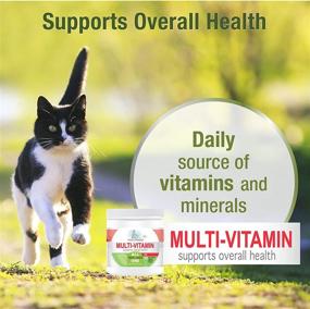 img 2 attached to Four Paws Healthy Promise Multivitamin