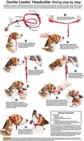 img 2 attached to 🐕 Stop Your Dog from Pulling and Choking on Walks with the PetSafe Chic Gentle Leader Headcollar