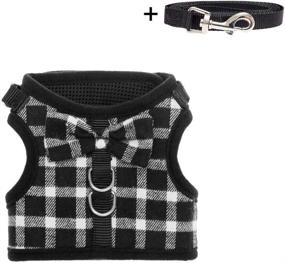 img 4 attached to 🐱 BINGPET Escape-Proof Cat Harness - Adjustable Vest with Leash Set