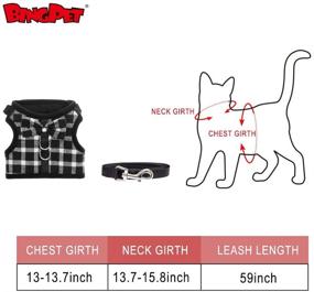 img 2 attached to 🐱 BINGPET Escape-Proof Cat Harness - Adjustable Vest with Leash Set