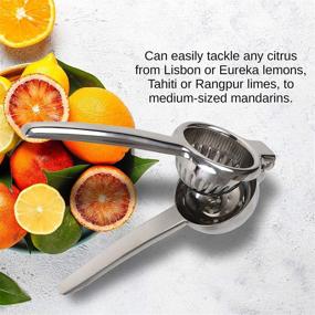 img 1 attached to Chef's Star Stainless Steel Metal Citrus Press: Premium Lemon Juicer, Lime Squeezer & Fruit Juice Squeezer - Manual Citrus Juicer for Fresh and Tangy Delights