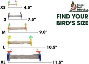 img 3 attached to 🦜 Optimized Sweet Feet and Beak Roll Swing and Perch Bird Toys - Maintain Healthy Nails and Beak - Handcrafted Pet Supplies - Safe, Non-Toxic Bird Cage Accessories - Parrot Toys