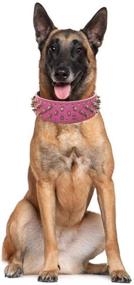 img 1 attached to 🐶 haoyueer Faux Leather Spiked Studded Dog Collar: Perfect for Medium to Large Dogs like Pit Bulls, Mastiffs, Bullies, and Boxers!