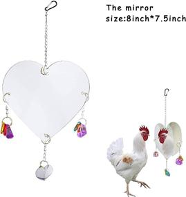 img 3 attached to Interactive Chicken Toy Kit for Entertainment and Enrichment: Genriq Chicken Toy, Chicken Mirror Toys, Chicken Xylophone Toy, Hanging Suspensible Bird Toy Chicken Coop Pecking - Perfect for Chicks, Hens, Parrots, and Birds