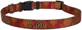 img 1 attached to 🌼 Cat-Sized Autumn Flowers Dog Collar