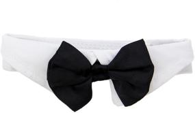 img 3 attached to Stylish and Classy: DOGGIE DESIGN Formal Black Dog Bow Tie (XL: Neck 19-23&#34;)