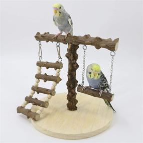 img 2 attached to YINGGE Training Playstand Cockatiel Playground