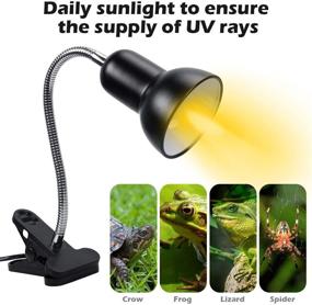 img 3 attached to 🔥 Eddu Timeable Reptile Heat Lamp - Dimmable Switch, Basking Spot Heat Lamp for Animal Enclosures & Aquariums - 360 Degree Rotatable Arm & Heavy-Duty Clamp, Black