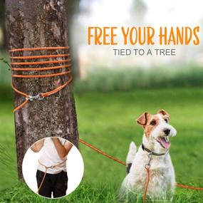 img 3 attached to Taglory Check Cord/Tie Out, Long Leash for Puppy Dog Training, 15/30/50 FT Nylon Rope with Reflective Stitching, Suitable for Small Dogs, Ideal for Swimming, Walking, Camping, in Black/Orange