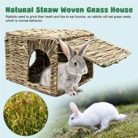 img 1 attached to BWOGUE Oversized Grass Hideaway House for Rabbits, Handcrafted Natural Foldable Bed Hut with Openings - Playhouse for Bunny, Guinea Pig, Chinchilla, Ferret - Ideal for Play and Sleep