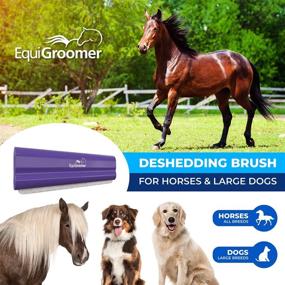 img 3 attached to 🐴 EquiGroomer Cedar Deshedding Brush: Effective Undercoat Deshedding Tool for Large Pets and Horses with Short and Long Hair. Remove Loose Dirt, Hair and Fur with this Professional Grooming Shedding Brush.