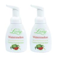 🍉 castile soap for kitchen and bathroom, liquid foaming hand wash, palm oil free, vegan & cruelty free, made in usa, 8.45 oz, 2 pack (watermelon scent) logo