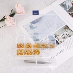 img 3 attached to 📦 Clear Plastic Jewelry Organizer Container - LOCOLO 15 Compartments Grids Box with 1 Pcs Tweezers, Ideal for Beads, Earrings, Rings