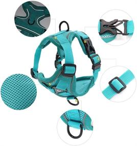 img 2 attached to 🐱 Escape-Proof Cat Harness and Leash Set by HAPEE for Optimal Walking Experience