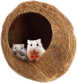 img 4 attached to 🐹 SunGrow 14-16 Inch Coconut Shell House: Ideal Hiding & Climbing Toy for Hamsters, Mice, Rats, Gerbils - Raw Coco Husk, Pet Chew Toy