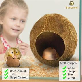 img 2 attached to 🐹 SunGrow 14-16 Inch Coconut Shell House: Ideal Hiding & Climbing Toy for Hamsters, Mice, Rats, Gerbils - Raw Coco Husk, Pet Chew Toy
