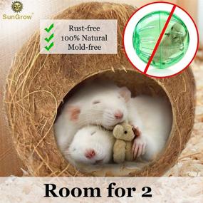 img 1 attached to 🐹 SunGrow 14-16 Inch Coconut Shell House: Ideal Hiding & Climbing Toy for Hamsters, Mice, Rats, Gerbils - Raw Coco Husk, Pet Chew Toy