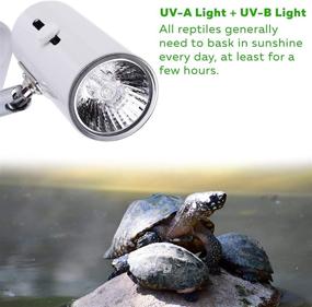 img 1 attached to High-Performance 50W UVA UVB Bulbs for Reptiles and Amphibian Tanks, Terrariums, and Cages - 4-Pack, Compatible with Multiple Lamp Fixtures for Optimal Heat and Light