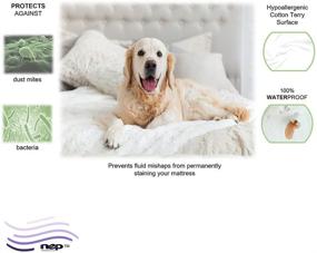 img 1 attached to Hypoallergenic Waterproof Noiseless Mattress Protector