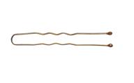 💇 diane hair pins bronze 1-3/4 inch: get 300 count at best price! logo