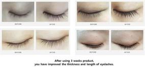 img 1 attached to DOUBLE PEPTI Eyelash Eyebrow Enhancing