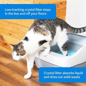 img 3 attached to PetSafe ScoopFree Premium Crystal Cat Litter - 2 Bags (4.5 lbs Each) - 🐾 Compatible with All Regular Litter Boxes, Rapid Absorption vs Clay Clumping, Minimal Tracking for Cleaner Surroundings