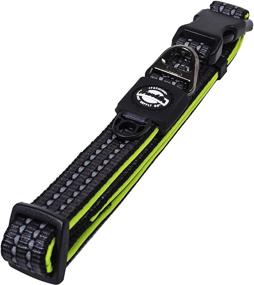 img 3 attached to 🐶 Enhanced Safety & Comfort: Franklin Pet Supply Reflective Nylon Dog Collar with Neoprene & Adjustable Fit