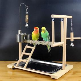 img 2 attached to Edudif Playground Parakeet Cockatiel Playstand