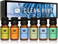набор "clean home" от p&j trading, 6 штук - ароматическое масло для изготовления мыла, диффузоров, свечей, лосьонов, ухода за волосами, слизи и домашнего аромата. логотип