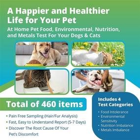 img 3 attached to 🐾 Comprehensive Pet Health Test: Identify Food Intolerance, Sensitivities, Nutritional Imbalances & Metal Toxicity in Cats & Dogs with 5Strands Test - 460 Items Analyzed, Results in 5-7 Days