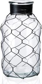 img 4 attached to 💎 Diamond Star Decorative Glass Vase with Chicken Wire Wrap - Ideal Flower Vase for Home Decor (4" X 8")