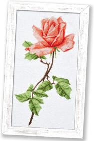 img 4 attached to 🌹 Stunning Pink Rose Floral Embroidery Kit: Complete with Flower Pattern - 16-Count Aida Cloth, 6.1" х 11.8