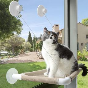 img 4 attached to 🐱 Angela&amp;Alex Cat Window Perch: Sturdy Knob Suction Cups, Window-Mounted Space Saver for Cats - Holds 30 lbs!