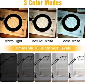 img 3 attached to SEO-Optimized LED Desk Lamp with Clamp, Eye-Care 12W Architect Lamp, 3 Colors Dimmable Swing Arm Drafting Table Lamp, Clip on Lamp for Reading, Crafts, Home Office
