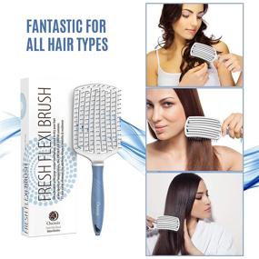 img 1 attached to 🔗 Osensia Ceramic Paddle Detangling Brush for Curly, Thick & Straight Hair - Vented Drying Brush for Quick Detangling & Smoothing - Dry & Wet Ionic Nylon Hair Brush