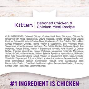 img 1 attached to 🐱 Wellness Complete Health Dry Kitten Food – Grain-Free Cat Food with Deboned Chicken & Chicken Meal Recipe, Natural, Made in USA – Added Vitamins, Minerals, Taurine, and DHA for Brain & Eye Development