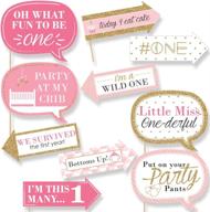 🎉 fun to be one - first birthday party photo booth props kit for girls - 10 piece by big dot of happiness logo