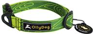 🐶 durable and comfortable webbing dog collar with side-release buckle - ollydog flagstaff collar logo