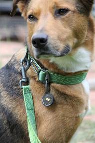 img 3 attached to 🐶 Durable and Comfortable Webbing Dog Collar with Side-Release Buckle - OllyDog Flagstaff Collar