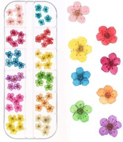 img 2 attached to LIMGLIM Flowers Stickers Supplies Accessories